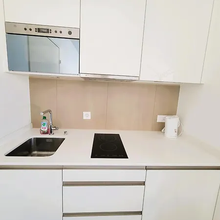 Brand New Downtown In Center With Balcony Hoh Anwand *